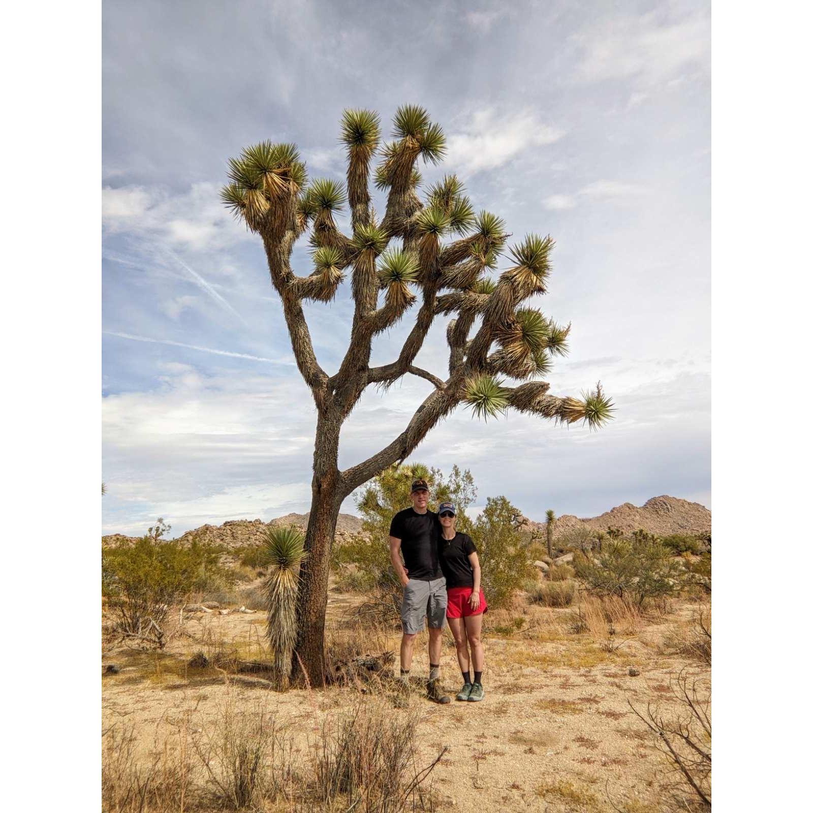 Joshua Tree...our happy place!