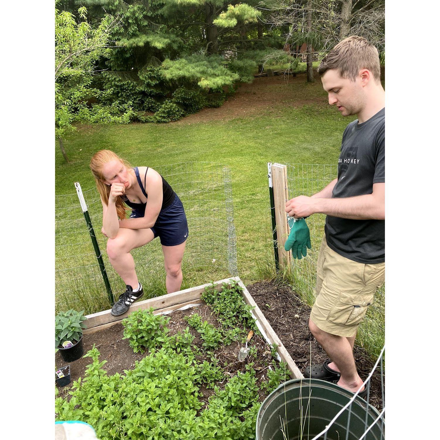 Hard at work in Julie and Jonathan's garden