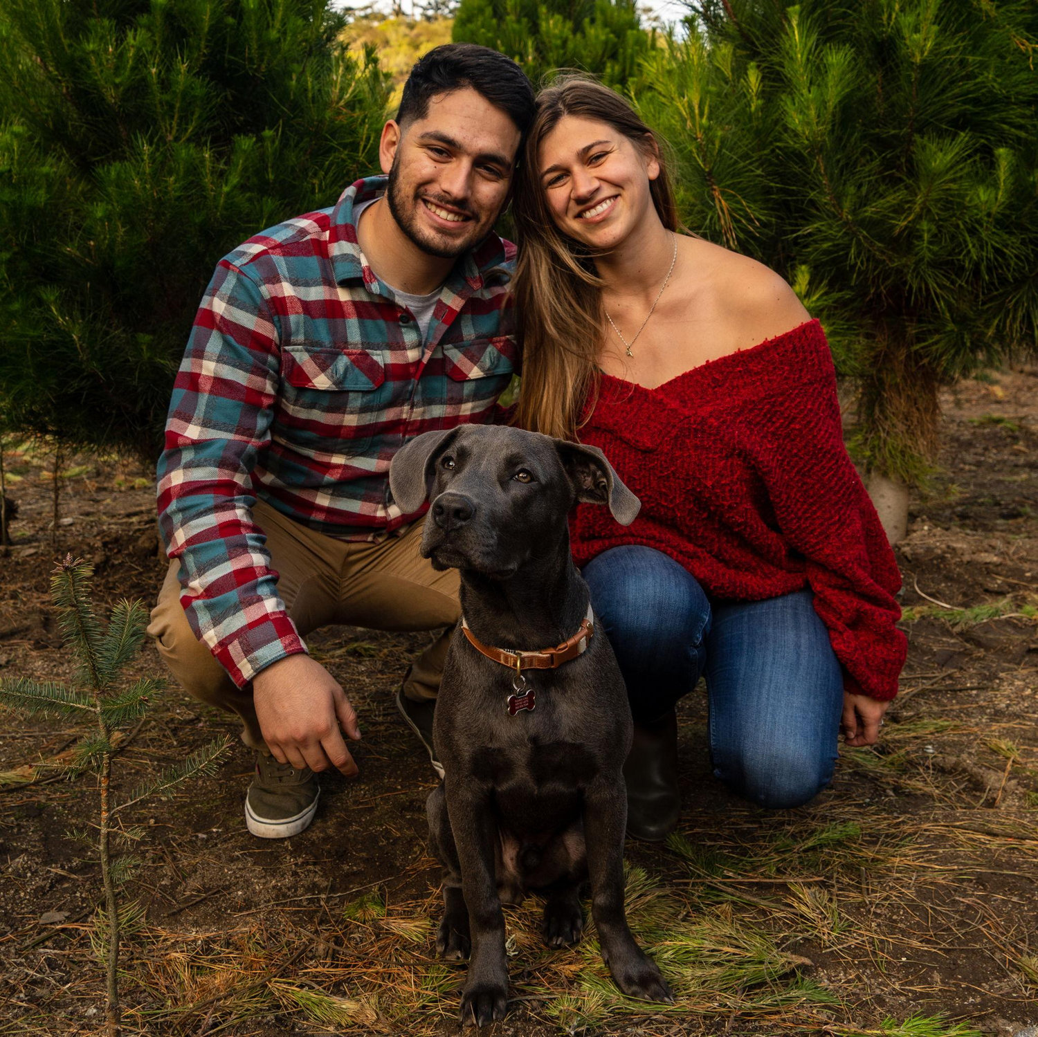 Christmas 2020