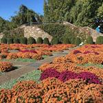The North Carolina Arboretum
