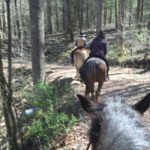 Pisgah Forest Riding Stables