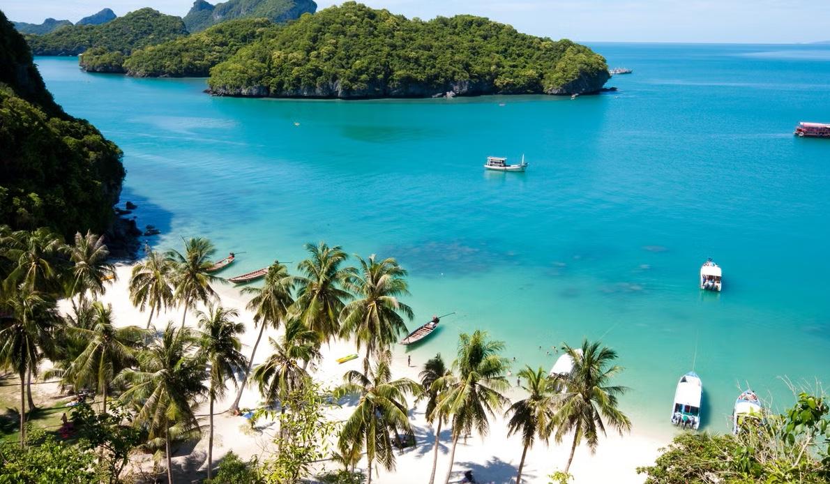 6209cafc-1850-4da9-9710-db87be58899e