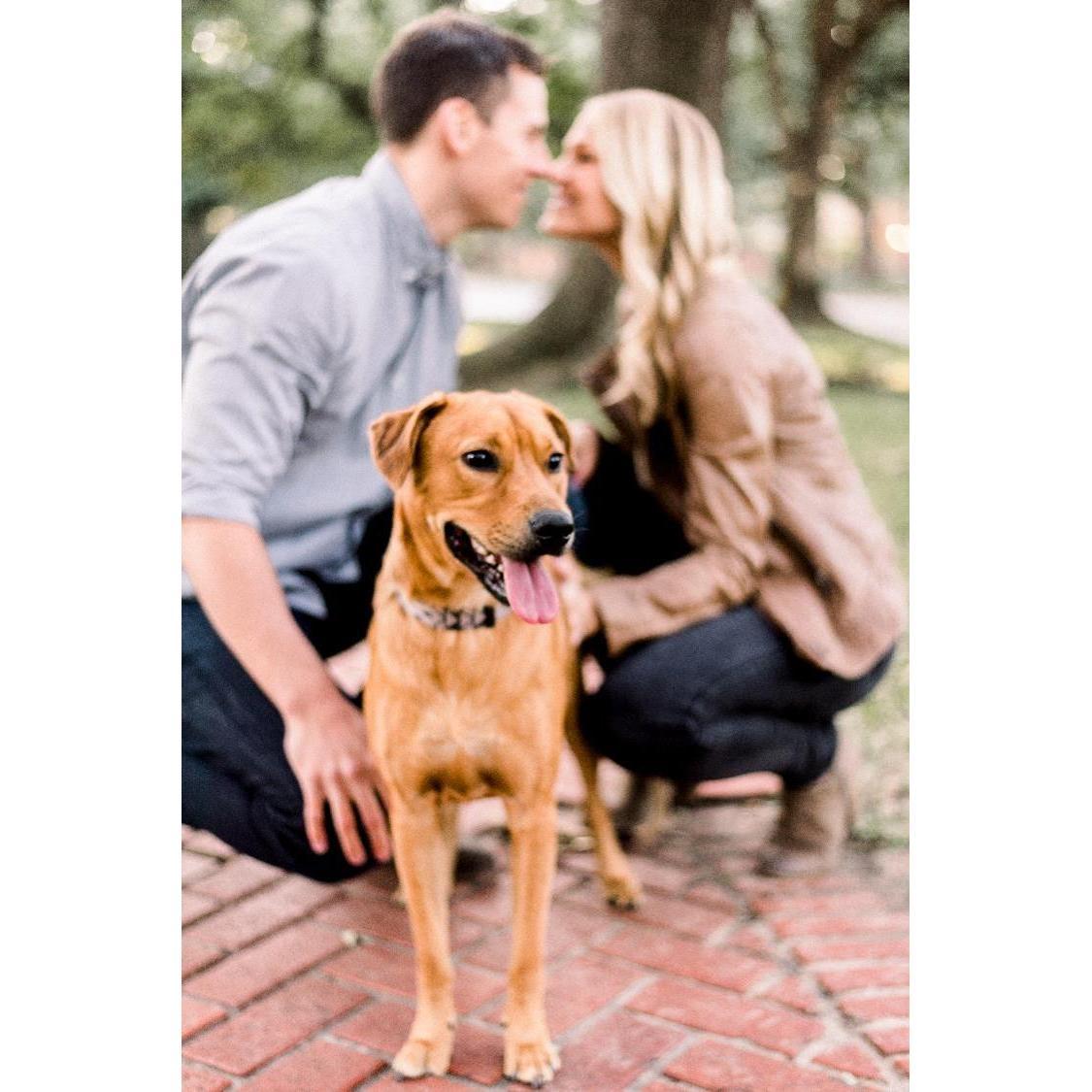 engagement session with @katycoxphoto