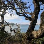 Tomales Bay State Park