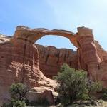 Rattlesnake Canyon - Arches near Grand Junction