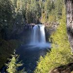 Koosah and Sahalie Falls Trail