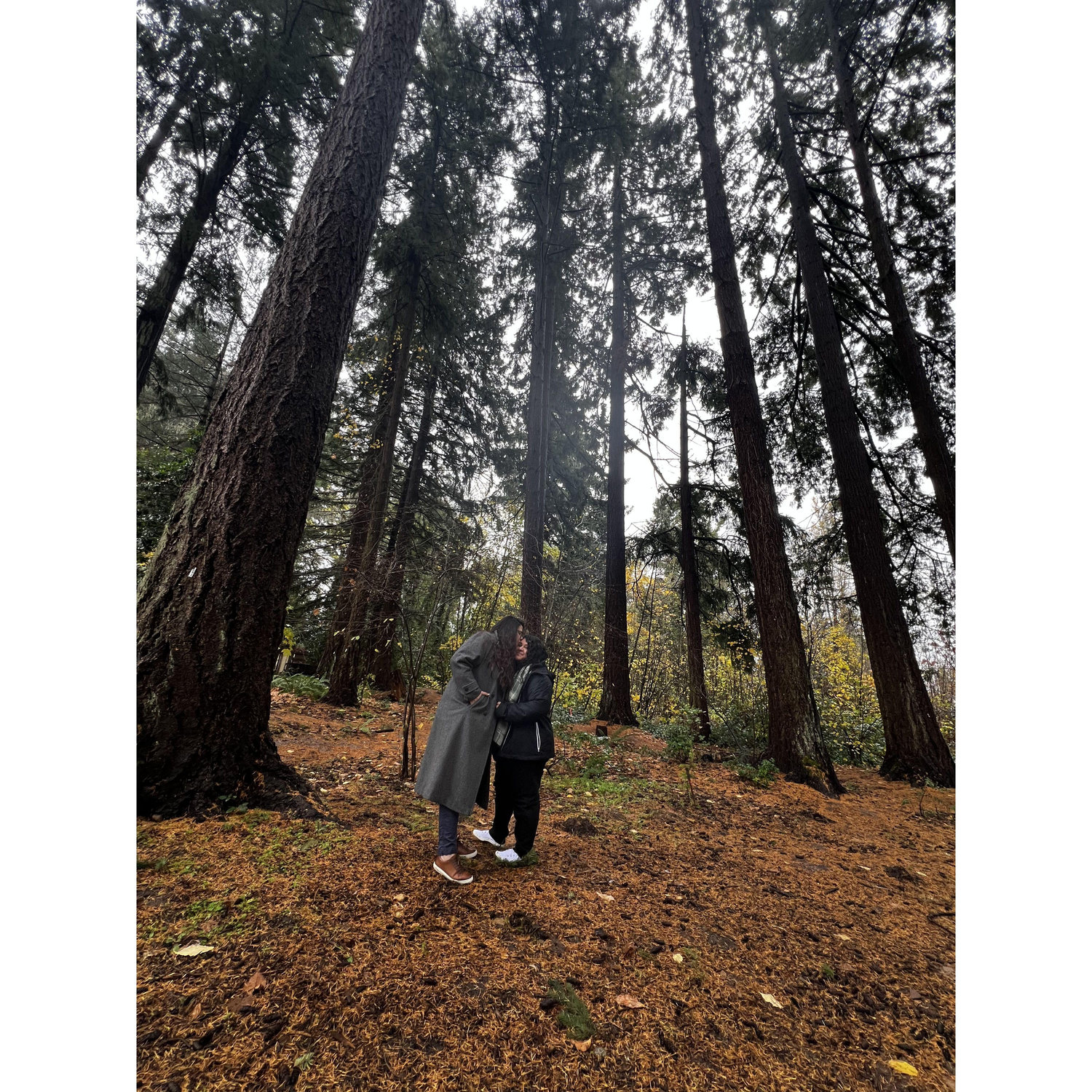 We took a trip to Oregon it was Kaylas moms favorite state so we went to visit! π€