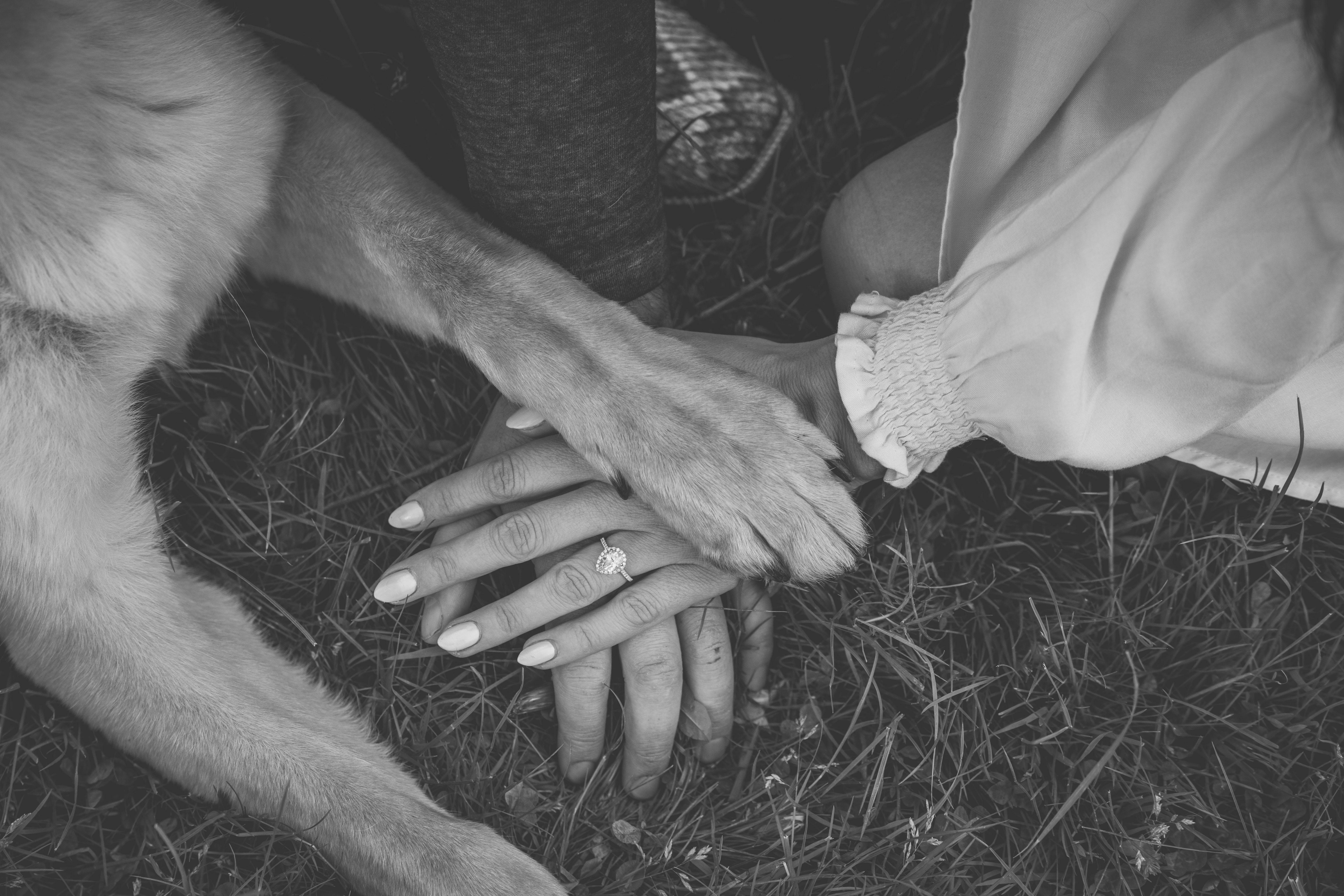 The Wedding Website of Danielle Yeager and Gregory Curtis