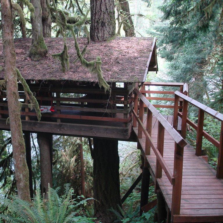 Treehouse overlooking the Sandy River