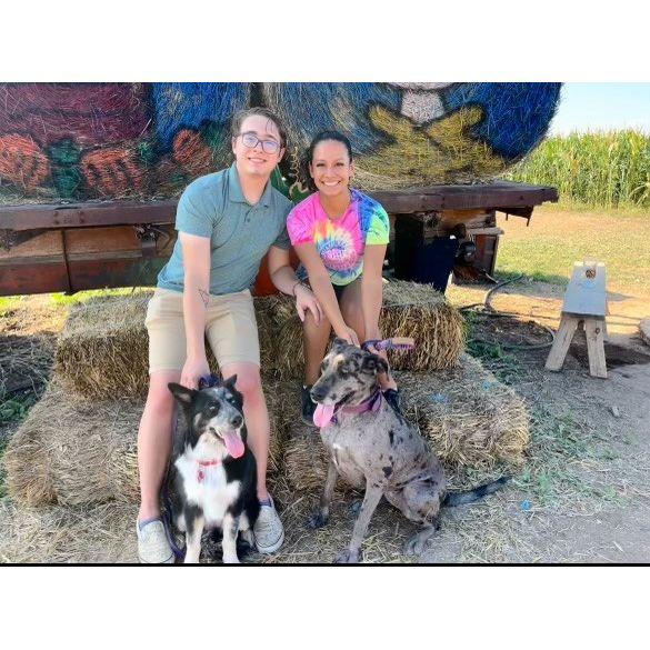 With our best puppies - Nova and Bailey.