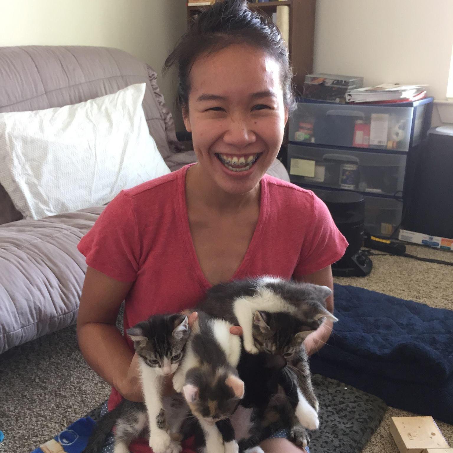 meow x 5