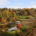 Houston Pond