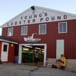 Young's Lobster Pound