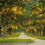Boone Hall Plantation & Gardens