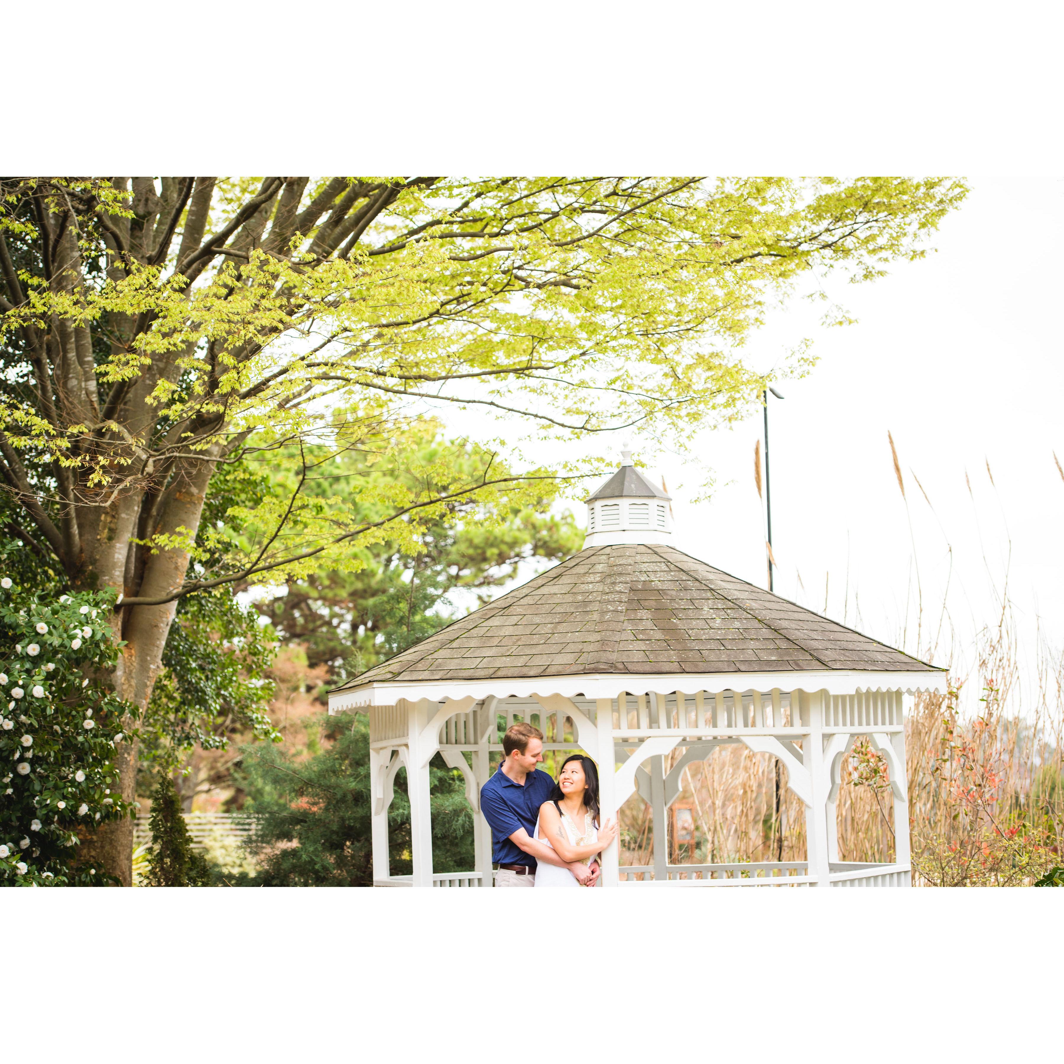 Engagement photoshoot at JR Raulston Arboretum
