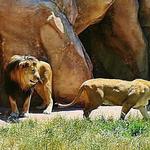 Denver Zoo