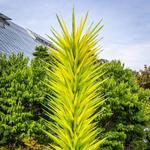 The Chihuly Collection - Morean Arts Center
