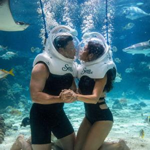Aquarium Trek