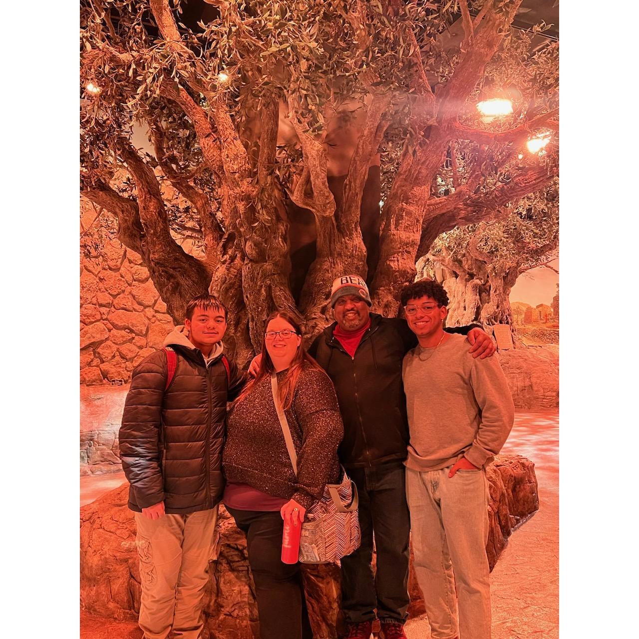 Cool pic from the Museum of the Bible in DC