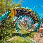 Busch Gardens Tampa Bay
