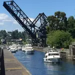 Ballard Locks Fish Ladder