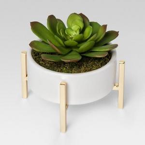 Artificial Succulent in Stand Small - White - Project 62™