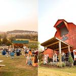 Arrington Vineyards