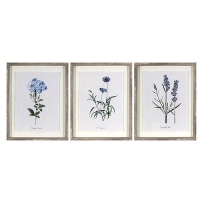 Set of 3 16"x20" Framed Vintage Botanicals Decorative Wall Art - Threshold™