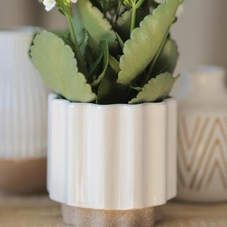Loma Planter