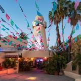 Cabo Wabo Cantina
