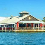 The Old Salty Dog