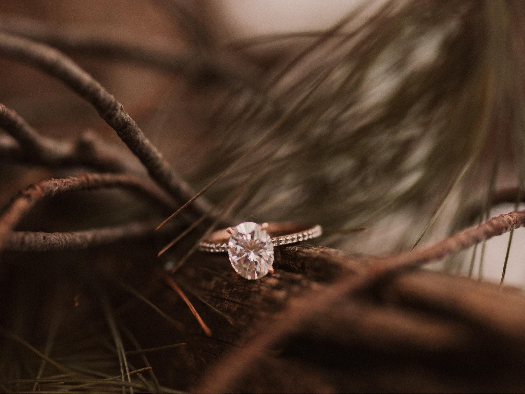 The Wedding Website of Casey Schultz and Kailey Saunders