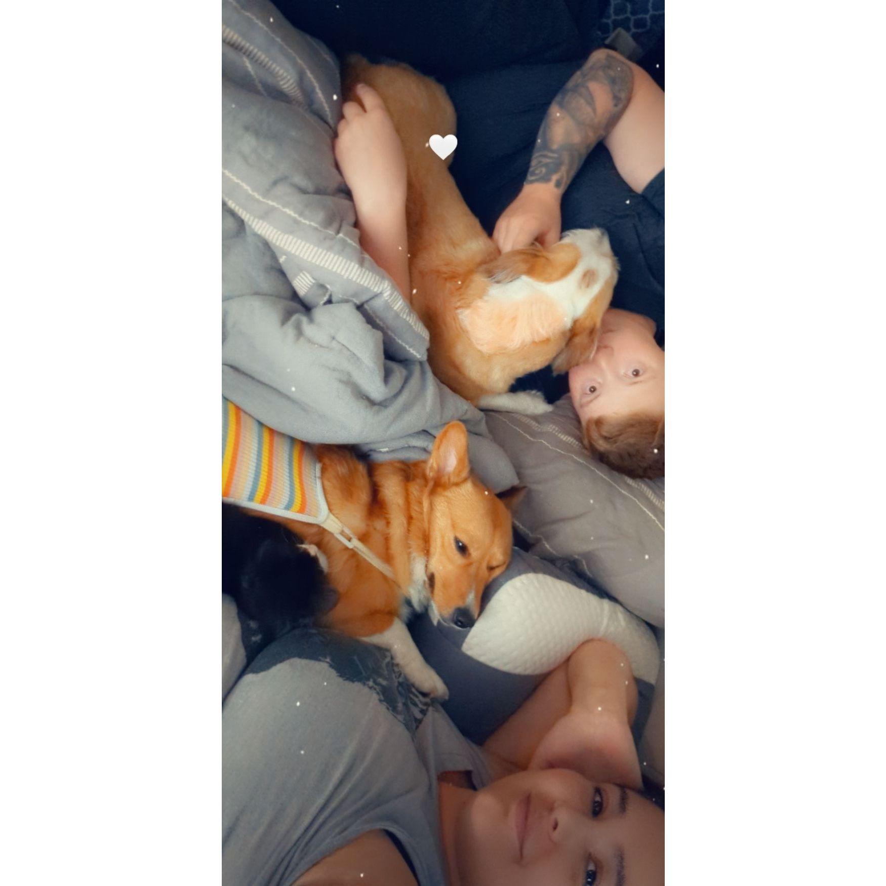 A lazy day family photo