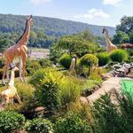 Safari Golf