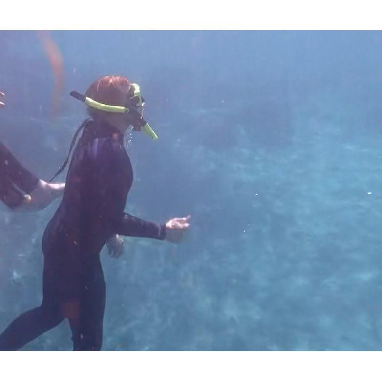 Swimming with manatees