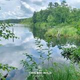 Straight Lake State Park