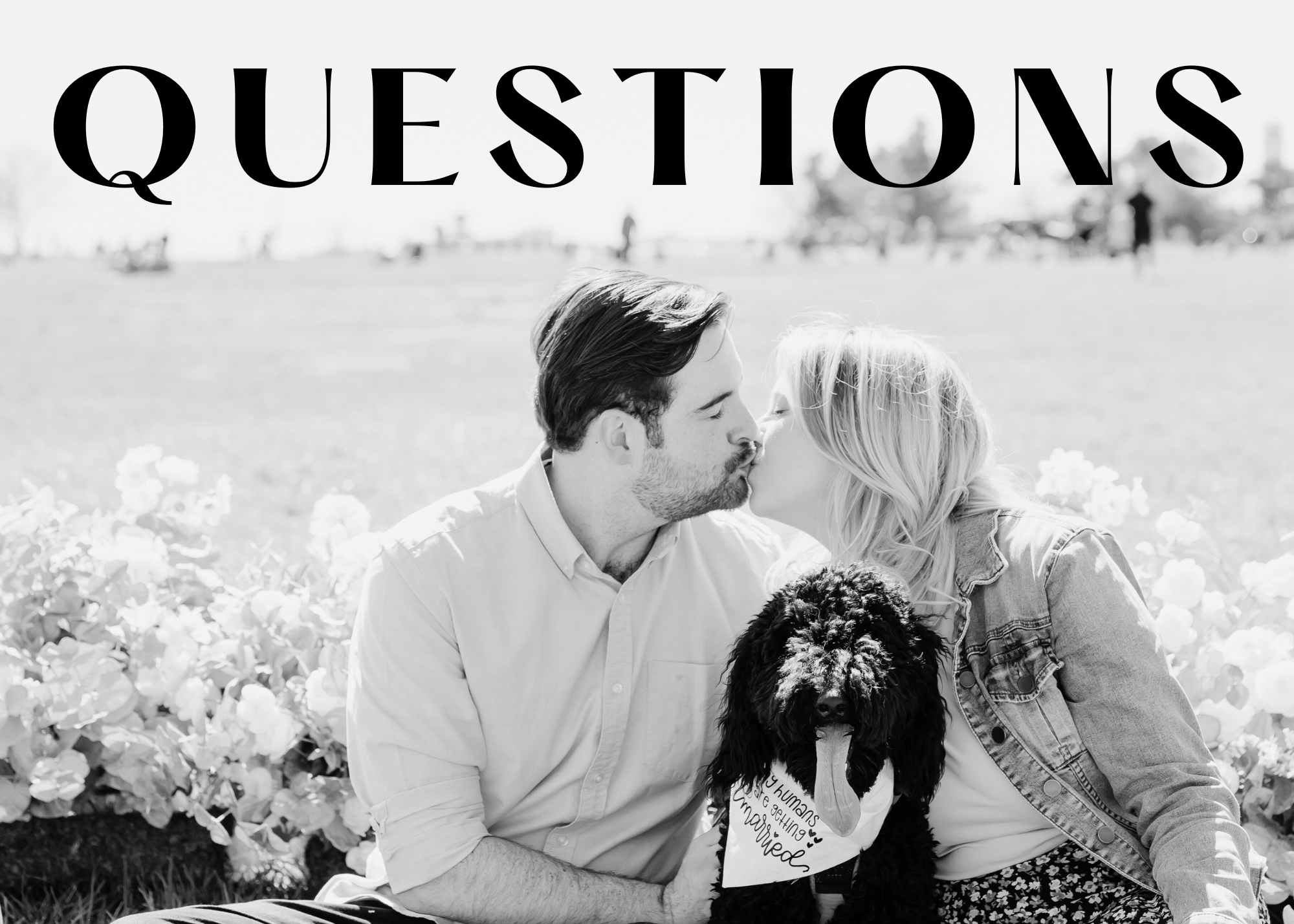 The Wedding Website of Alexandra Cordell and Vale Sloane