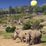 San Diego Zoo Safari Park
