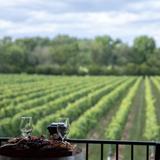 Karamoor Estate Wines
