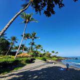 Honokaʻope Bay (49 Black Sand Beach)