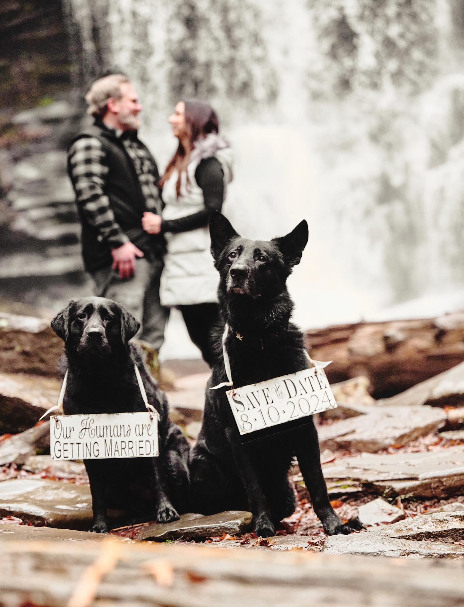 The Wedding Website of Erin Kreisel and Bryce Edwards