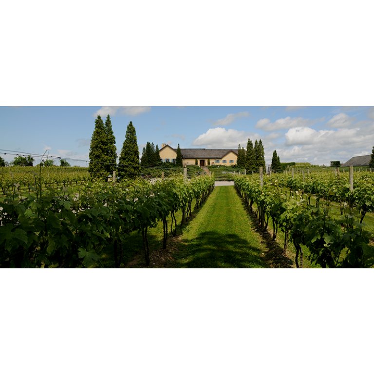 We went to Wolffer Estate Vineyards on our second date, which took place in the Hamptons.