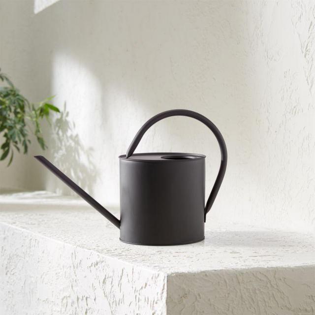 Oval Matte Black Watering Can