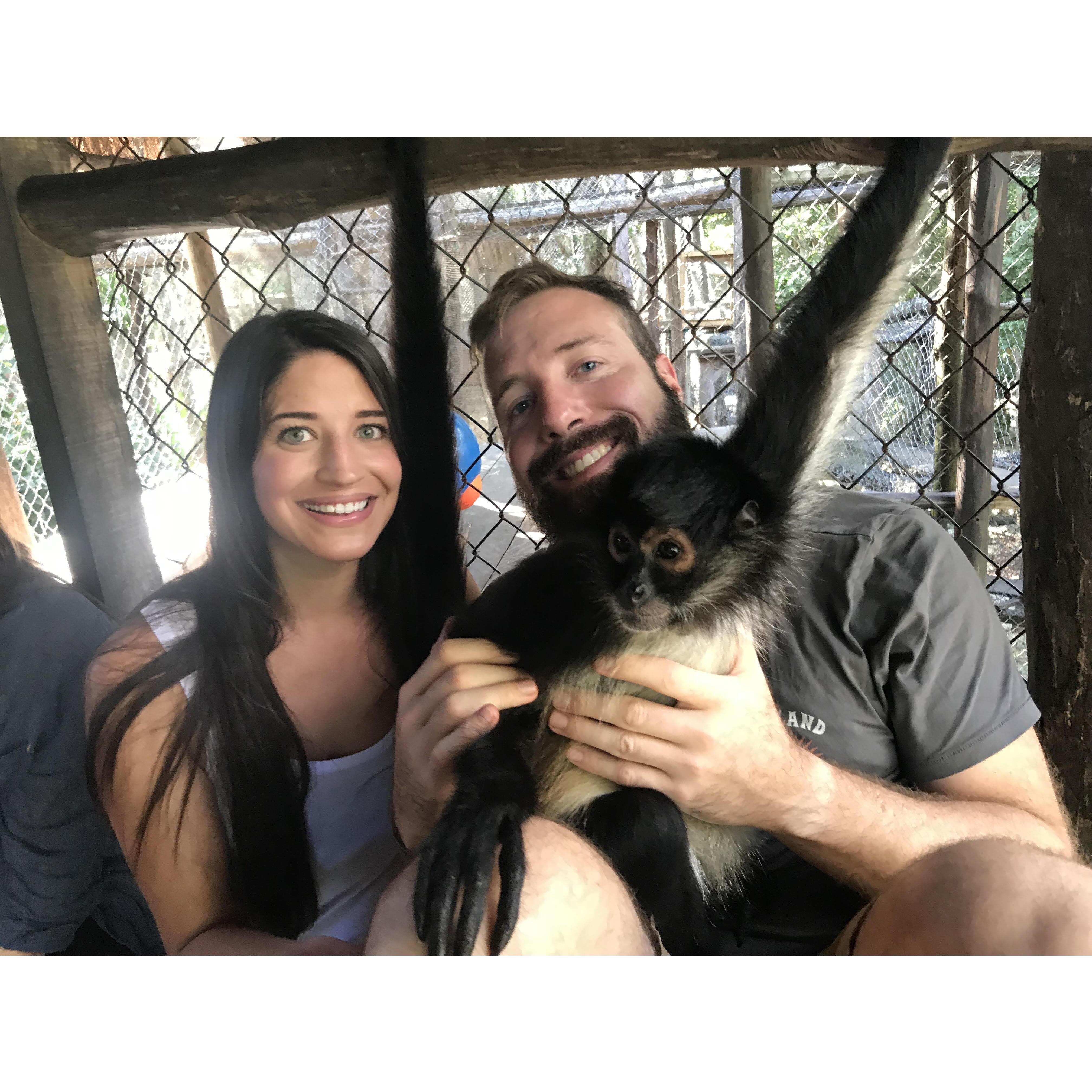 Spider monkeys in the Yucatan. They only loved William. As he is also a monkey.