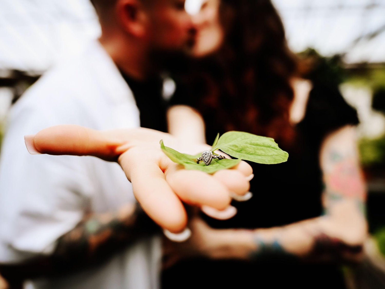 The Wedding Website of Ashleigh Scholler and Ryan Hall