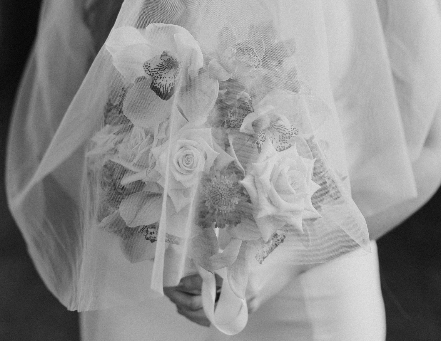 The Wedding Website of Abigail Wahlig and Dylan Wells