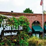 Saint Louis Zoo
