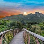 Kirstenbosch National Botanical Garden