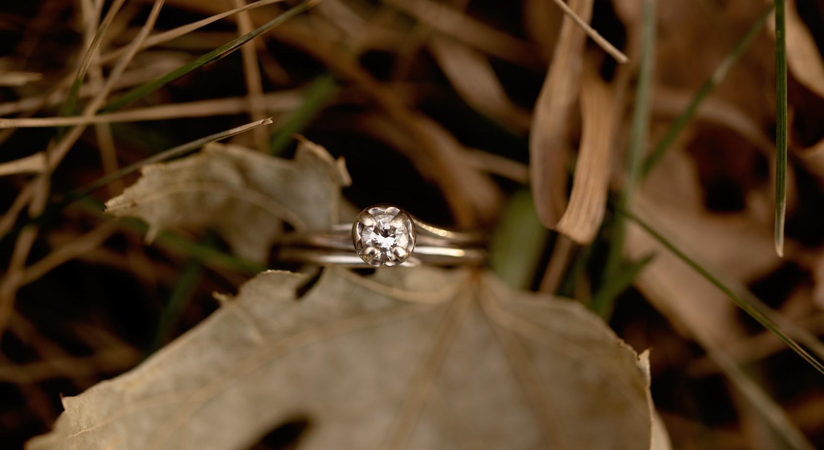 The Wedding Website of Alyssa Lique and Colt Bakken