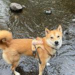 Saratoga Spa State Park